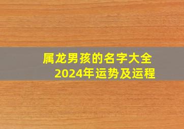 属龙男孩的名字大全2024年运势及运程