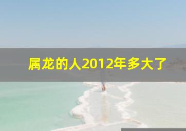 属龙的人2012年多大了