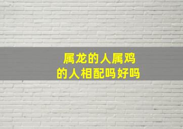 属龙的人属鸡的人相配吗好吗