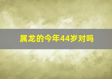 属龙的今年44岁对吗