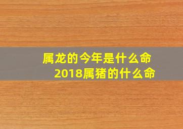 属龙的今年是什么命2018属猪的什么命