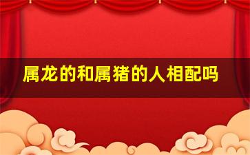 属龙的和属猪的人相配吗