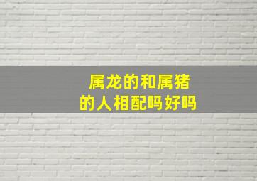 属龙的和属猪的人相配吗好吗