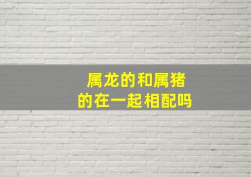 属龙的和属猪的在一起相配吗