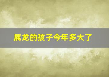 属龙的孩子今年多大了