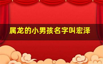 属龙的小男孩名字叫宏泽