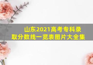 山东2021高考专科录取分数线一览表图片大全集