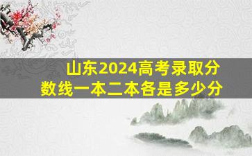 山东2024高考录取分数线一本二本各是多少分