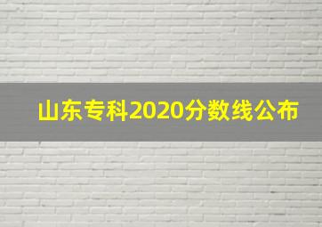 山东专科2020分数线公布