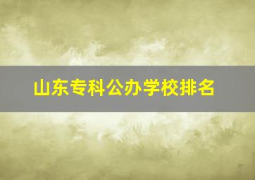 山东专科公办学校排名