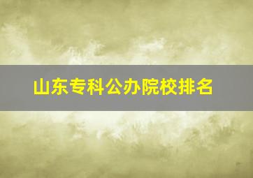 山东专科公办院校排名