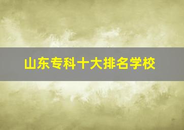 山东专科十大排名学校