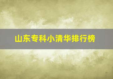 山东专科小清华排行榜