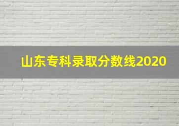 山东专科录取分数线2020