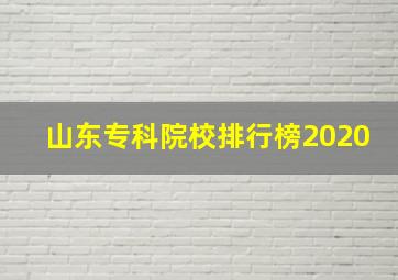 山东专科院校排行榜2020