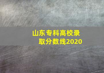 山东专科高校录取分数线2020