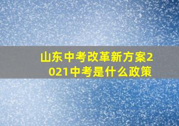 山东中考改革新方案2021中考是什么政策