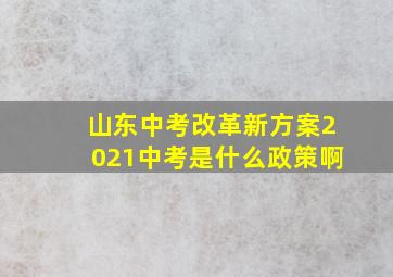 山东中考改革新方案2021中考是什么政策啊