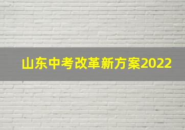 山东中考改革新方案2022