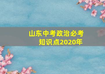 山东中考政治必考知识点2020年