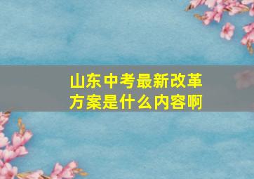 山东中考最新改革方案是什么内容啊