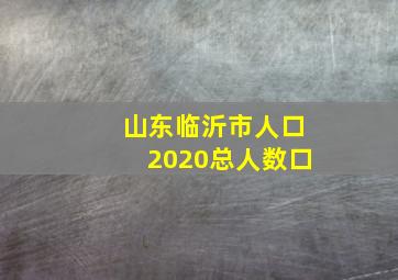 山东临沂市人口2020总人数口