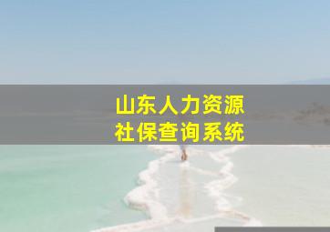 山东人力资源社保查询系统