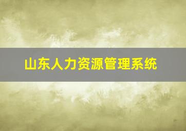 山东人力资源管理系统