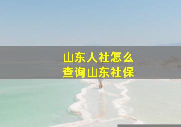 山东人社怎么查询山东社保