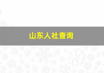 山东人社查询