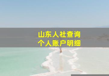 山东人社查询个人账户明细