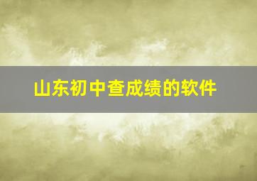 山东初中查成绩的软件