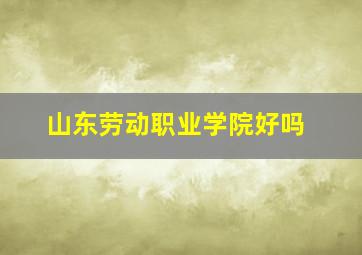 山东劳动职业学院好吗