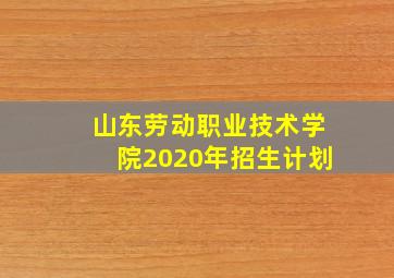 山东劳动职业技术学院2020年招生计划