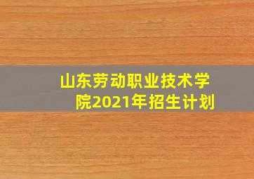 山东劳动职业技术学院2021年招生计划