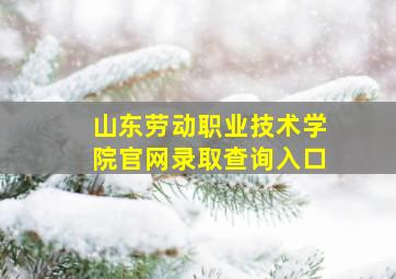 山东劳动职业技术学院官网录取查询入口