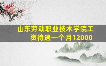 山东劳动职业技术学院工资待遇一个月12000