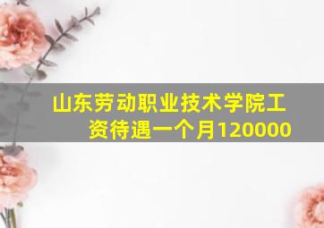 山东劳动职业技术学院工资待遇一个月120000