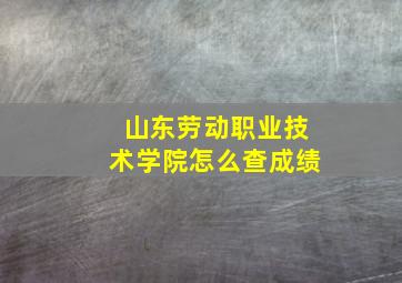 山东劳动职业技术学院怎么查成绩