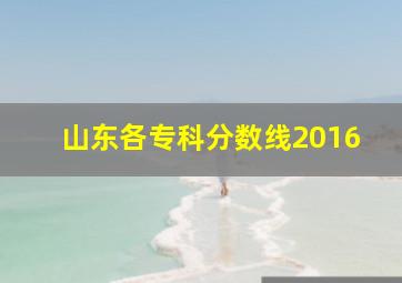 山东各专科分数线2016