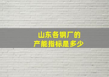 山东各钢厂的产能指标是多少