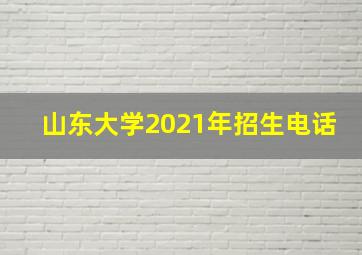 山东大学2021年招生电话