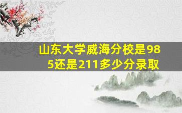 山东大学威海分校是985还是211多少分录取