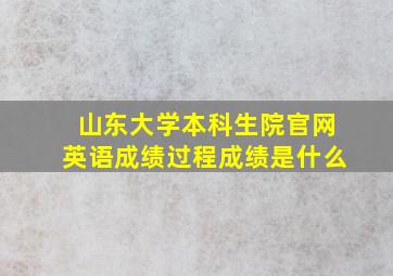 山东大学本科生院官网英语成绩过程成绩是什么