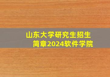 山东大学研究生招生简章2024软件学院