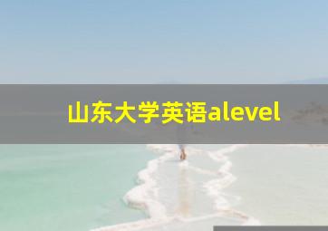 山东大学英语alevel