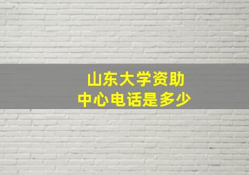 山东大学资助中心电话是多少