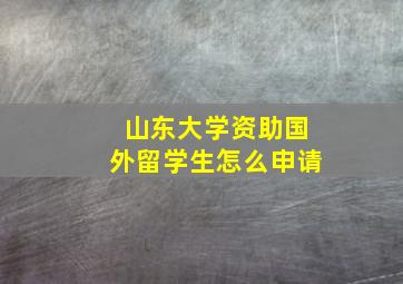 山东大学资助国外留学生怎么申请