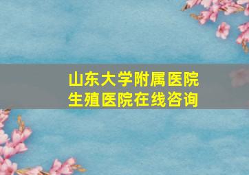 山东大学附属医院生殖医院在线咨询