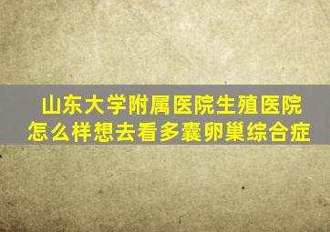 山东大学附属医院生殖医院怎么样想去看多囊卵巢综合症